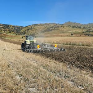 Blackbear EVO Tine Cultivator