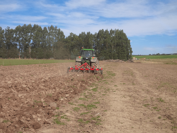 FarmChief NSL Chisel Plough with Double Wavy Discs